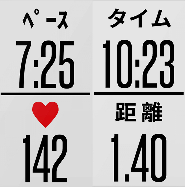 GARMIN vivosport (バンドL サイズ) GARMIN vivosport (バンドL サイズ)