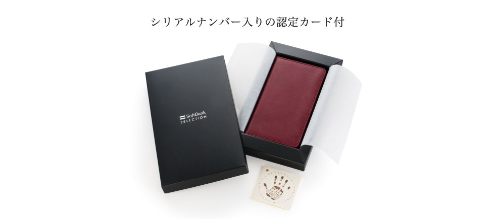 VAio[̔FJ[ht