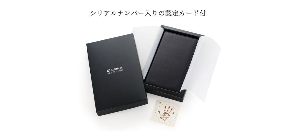 VAio[̔FJ[ht