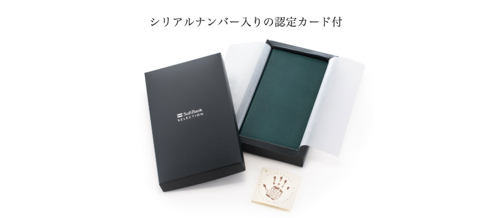 VAio[̔FJ[ht