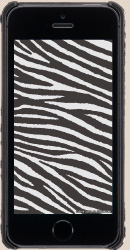iPhoneǎ4