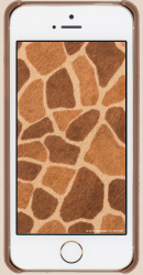 iPhoneǎ5