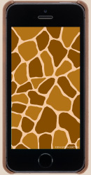 iPhoneǎ6