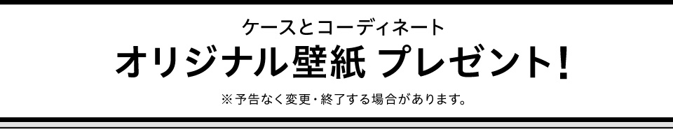 P[XƃR[fBl[g IWiǎv[gI